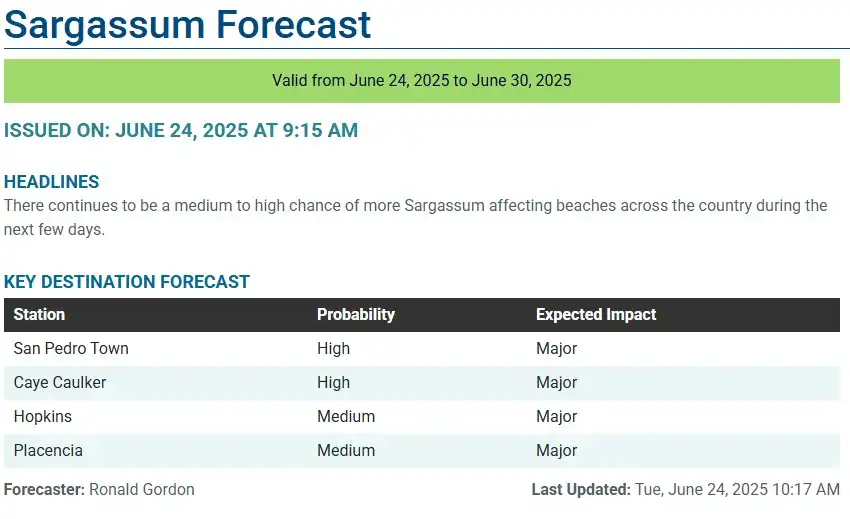 Belize-sargassum-forecast-sargasse-sargazo-sargassum monitoring-24-06-2025