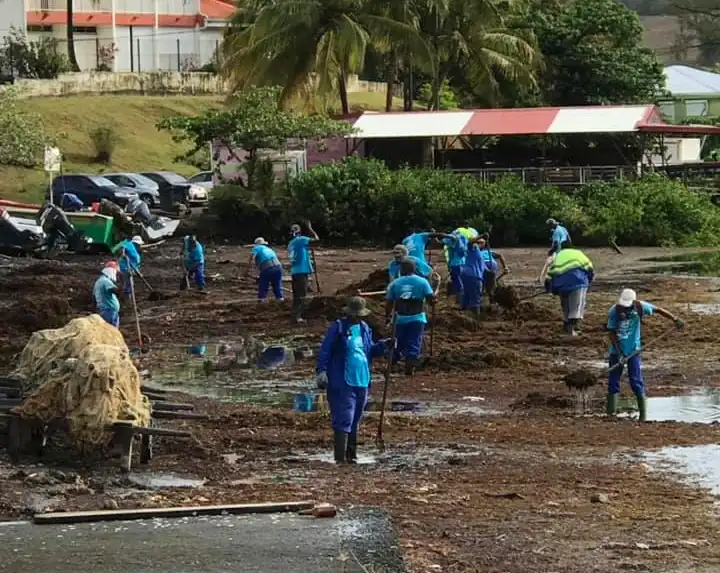H₂S-sargassum-protection-sargassum-monitoring (2)