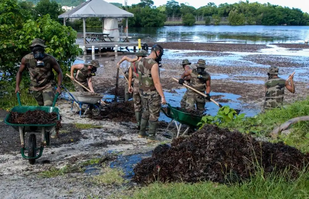 Key Role of H₂S Monitoring and detector-sargassum monitoring-monitoreo de sargazo-surveillance des sargasses-H2S danger-gaz-hydrogen sulfide-hydrogene sulfure-sulfuro de hidrógeno