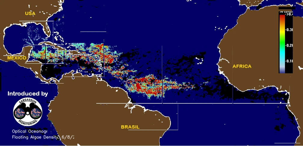 USF-Saws-forecast-sargassum-monitoring-map-16-June-2025