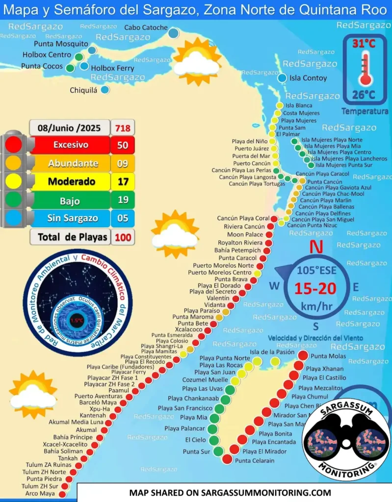 red-monitoreo-sargazo-sargassum-monitoring-riviera-maya-08-06-2025