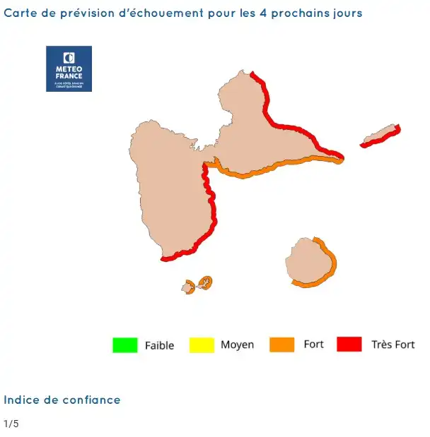 sargassum-monitoring-previsions sargasses-sargazo-map-mapa-carte-guadeloupe