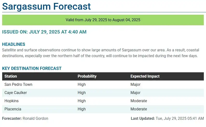 Belize-sargassum-forecast-sargasse-sargazo-sargassum monitoring-29-07-2025