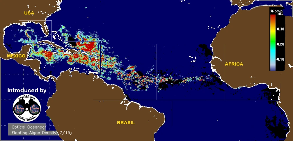 USF-Saws-forecast-sargassum-monitoring-map-23-July-2025