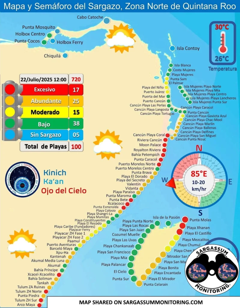 red-monitoreo-sargazo-sargassum-monitoring-riviera-maya-22-07-2025