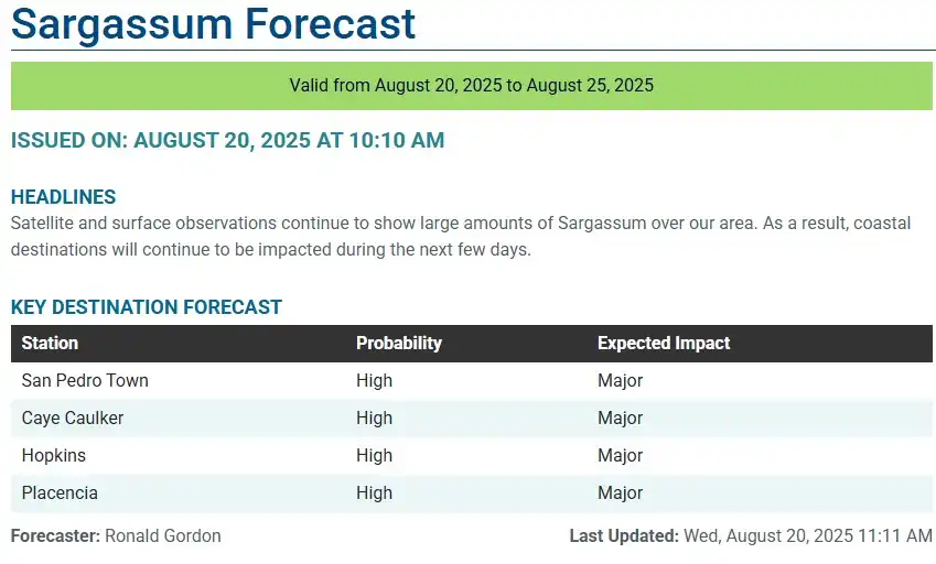 Belize-sargassum-forecast-sargasse-sargazo-sargassum monitoring-20-08-2025