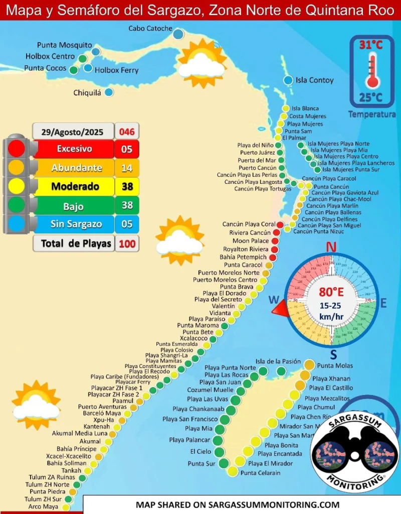 red-monitoreo-sargazo-sargassum-monitoring-riviera-maya-29-08-2025