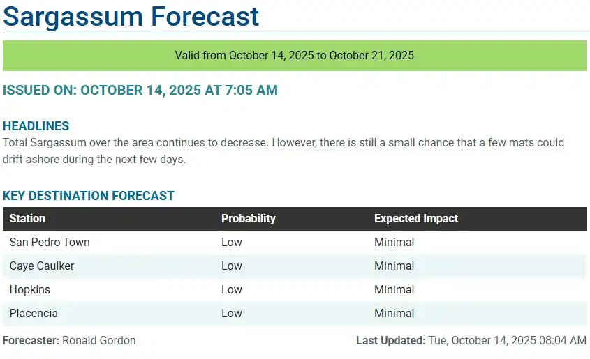 Belize-sargassum-forecast-sargasse-sargazo-sargassum monitoring-14-10-2025