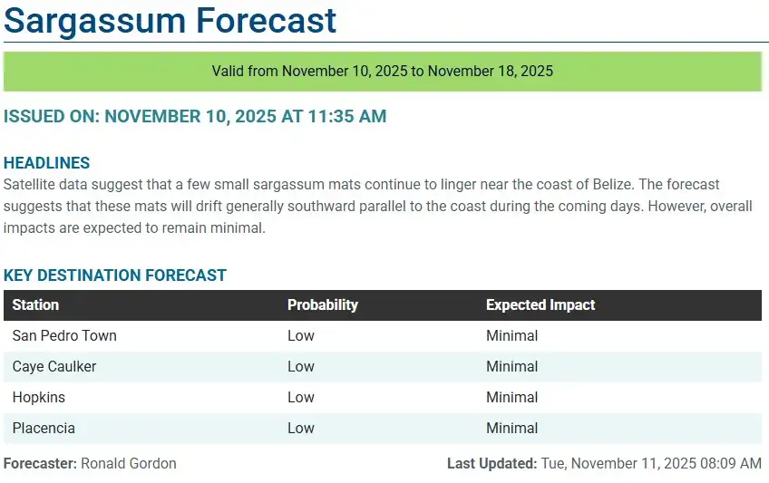Belize-sargassum-forecast-sargasse-sargazo-sargassum monitoring-13-11-2025