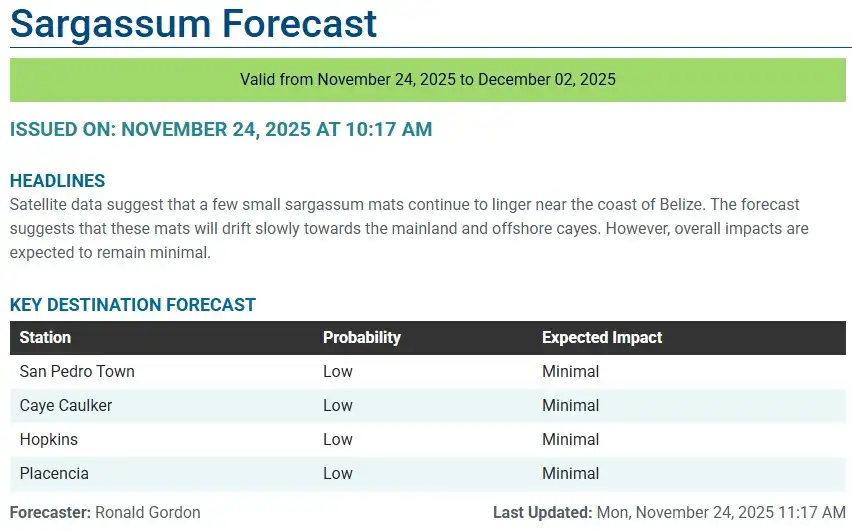 Belize-sargassum-forecast-sargasse-sargazo-sargassum monitoring-25-11-2025