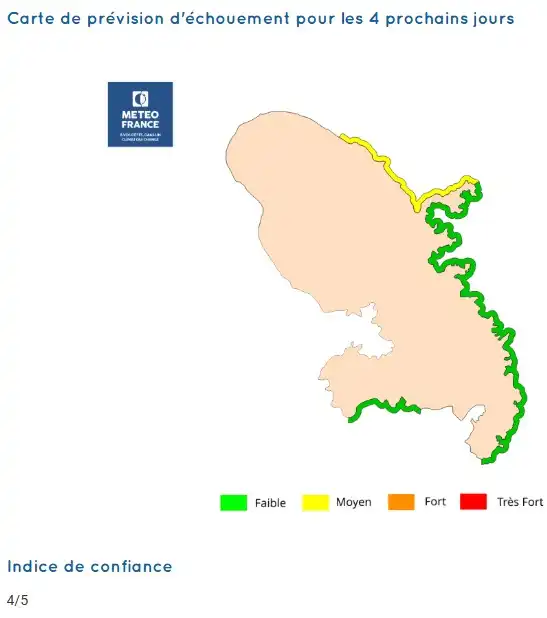 sargassum-monitoring-previsions sargasses-sargazo-map-mapa-carte-martinique