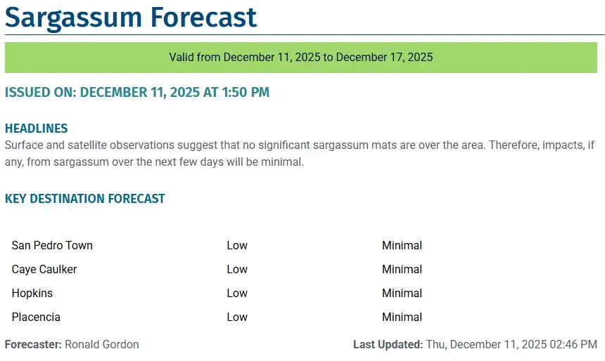 Belize-sargassum-forecast-sargasse-sargazo-sargassum monitoring-12-12-2025