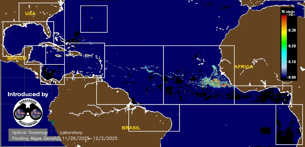 USF-Saws-forecast-sargassum-monitoring-map-04-december-2025