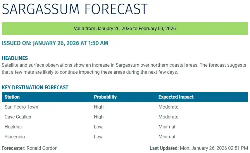 Belize-sargassum-forecast-sargasse-sargazo-sargassum monitoring-29-01-2026