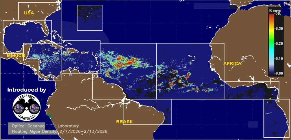 USF-Saws-forecast-sargassum-monitoring-map-15-february-26