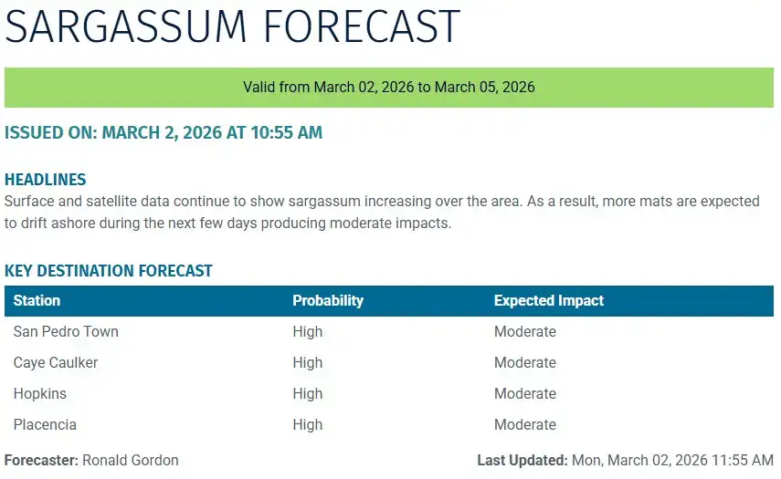 Belize-sargassum-forecast-sargasse-sargazo-sargassum monitoring-02-03-2026