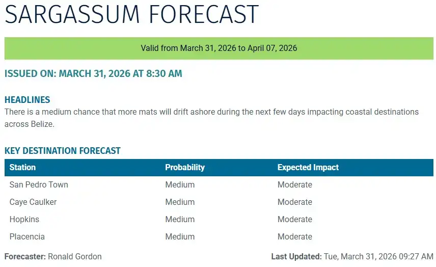 Belize-sargassum-forecast-sargasse-sargazo-sargassum monitoring-31-03-2026