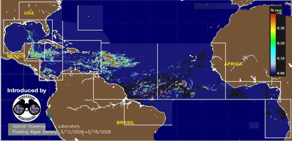 USF-Saws-forecast-sargassum-monitoring-map-20-march-26