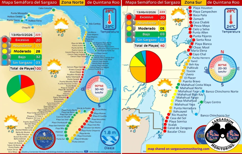 2-maps-red-monitoreo-sargazo-sargassum-monitoring-riviera-maya-13-04-2026