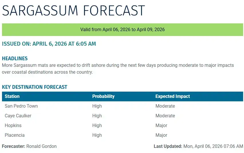 Belize-sargassum-forecast-sargasse-sargazo-sargassum monitoring-06-04-2026