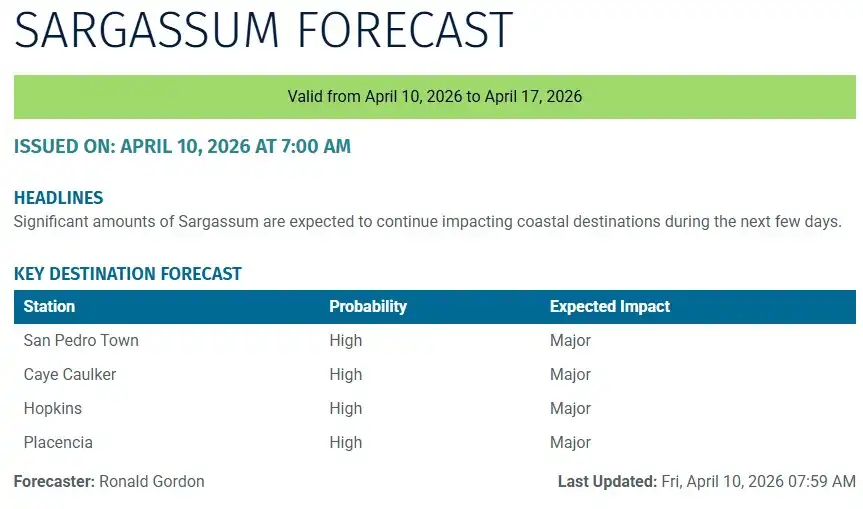 Belize-sargassum-forecast-sargasse-sargazo-sargassum monitoring-10-04-2026