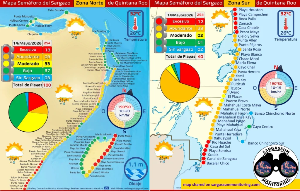 2-maps-red-monitoreo-sargazo-sargassum-monitoring-riviera-maya-14-05-2026