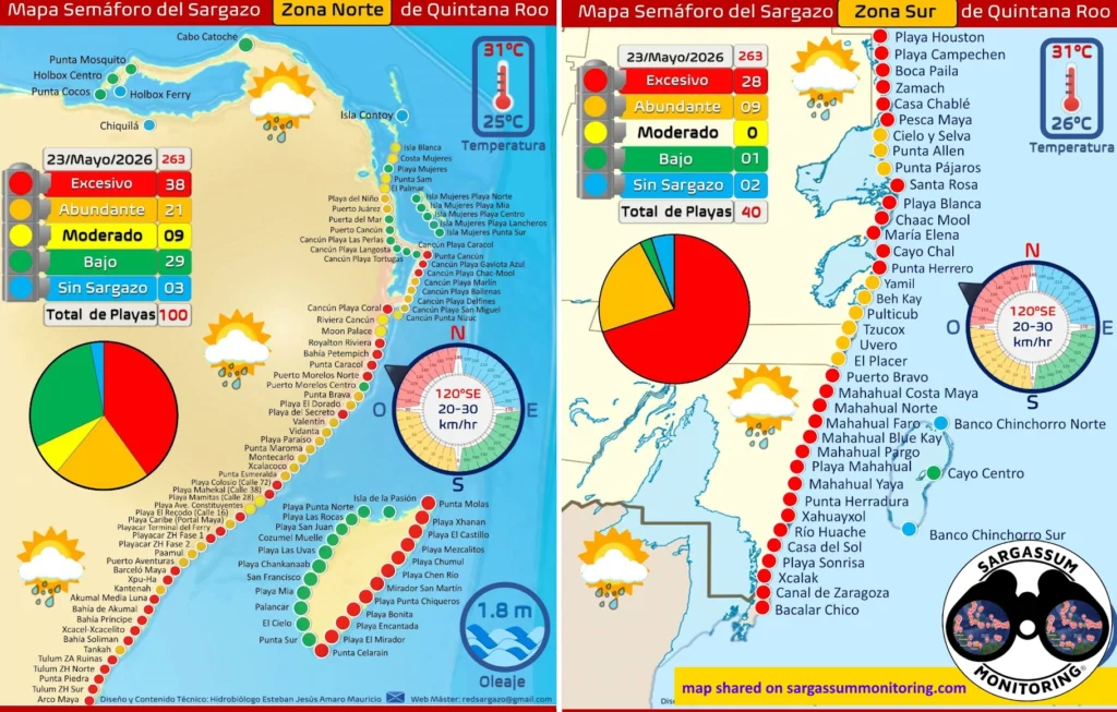 2-maps-red-monitoreo-sargazo-sargassum-monitoring-riviera-maya-23-05-2026