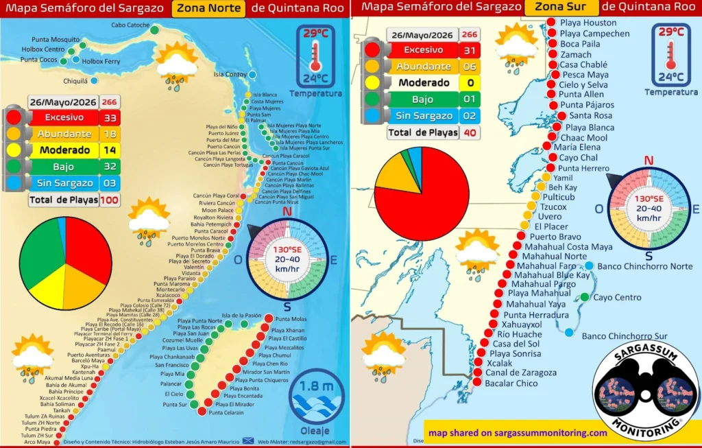 2-maps-red-monitoreo-sargazo-sargassum-monitoring-riviera-maya-26-05-2026