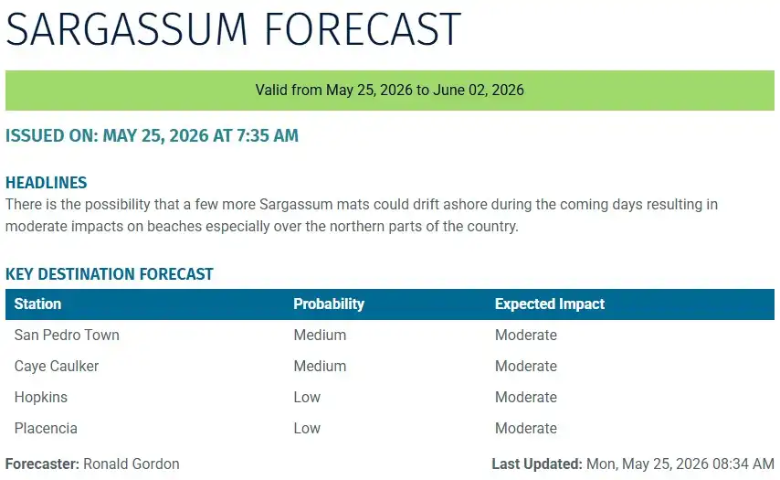 Belize-sargassum-forecast-sargasse-sargazo-sargassum monitoring-25-05-2026