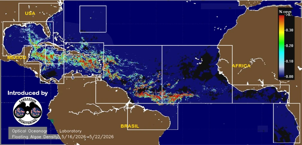 USF-Saws-forecast-sargassum-monitoring-map-23-may-26