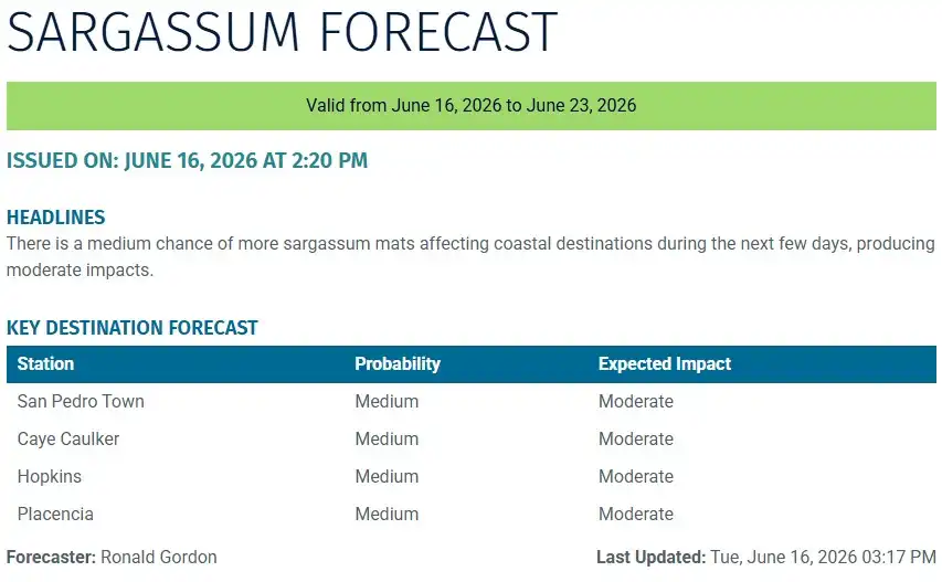 Belize-sargassum-forecast-sargasse-sargazo-sargassum monitoring-16-06-2026