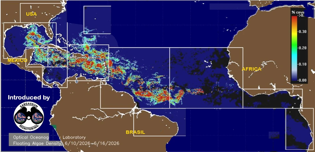 USF-Saws-forecast-sargassum-monitoring-map-17-june-26