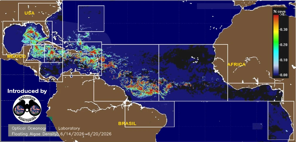 USF-Saws-forecast-sargassum-monitoring-map-21-june-26