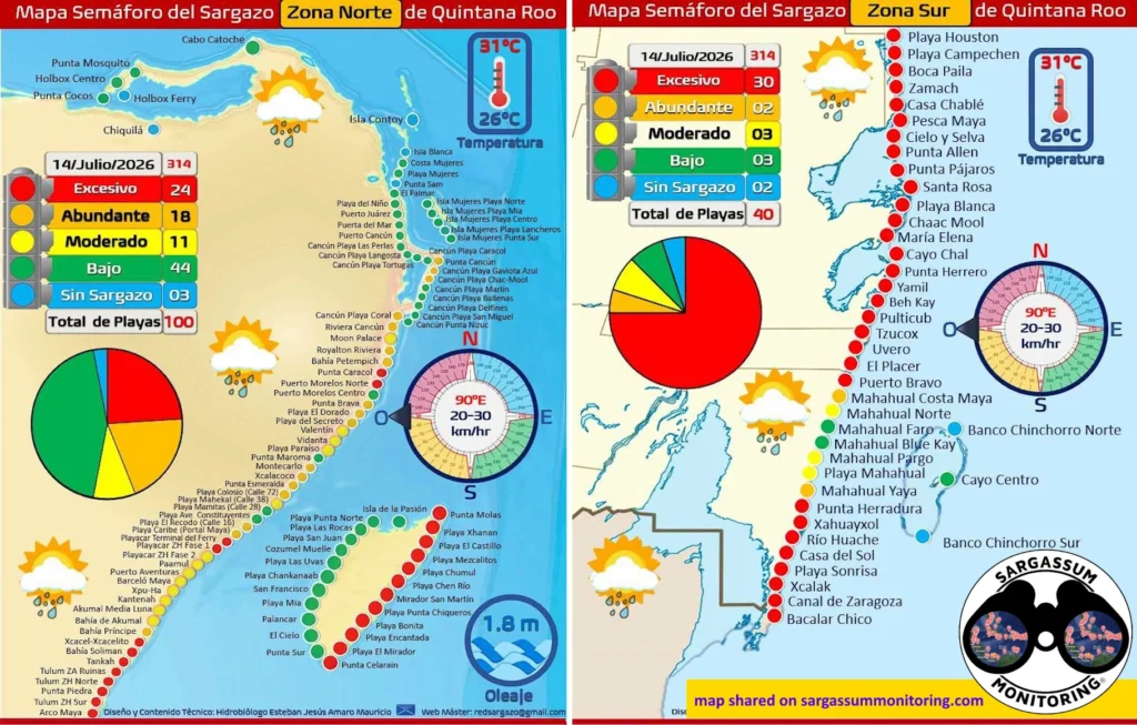 2-maps-red-monitoreo-sargazo-sargassum-monitoring-riviera-maya-14-07-2026