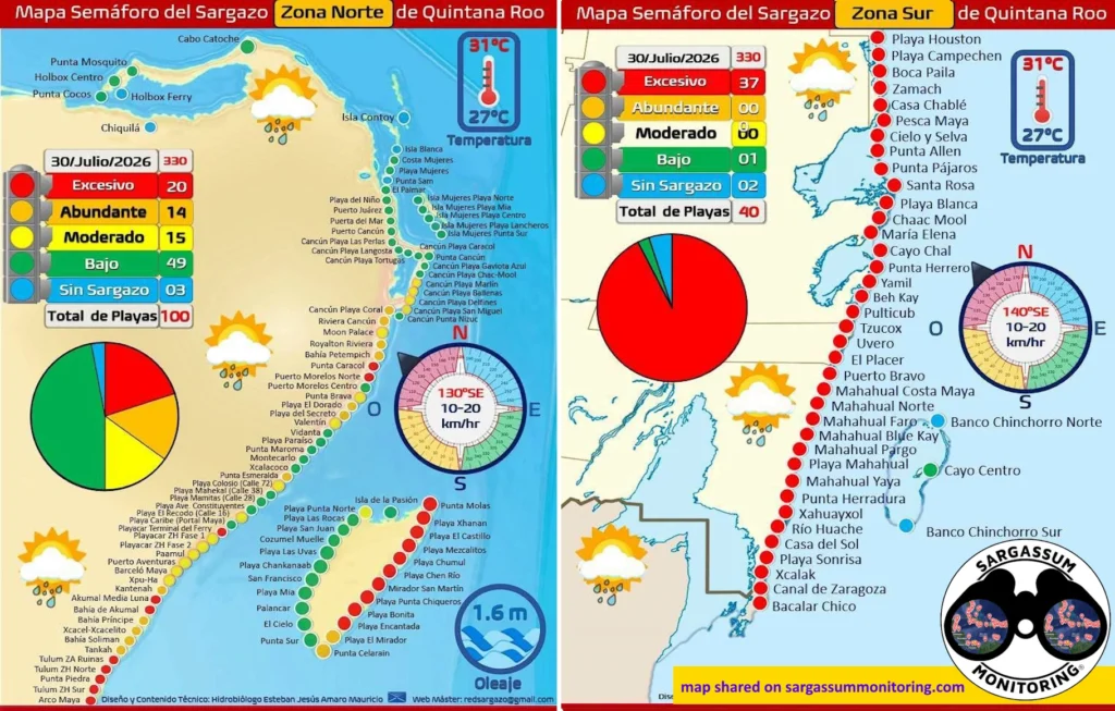 2-maps-red-monitoreo-sargazo-sargassum-monitoring-riviera-maya-30-07-2026