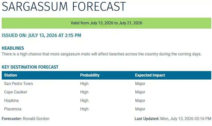 Belize-sargassum-forecast-sargasse-sargazo-sargassum monitoring-14-07-2026