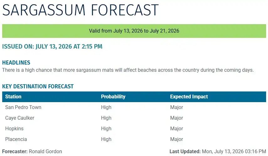 Belize-sargassum-forecast-sargasse-sargazo-sargassum monitoring-20-07-2026