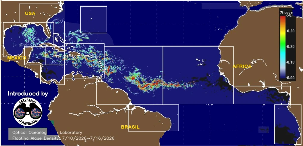 USF-Saws-forecast-sargassum-monitoring-map-17-july-26