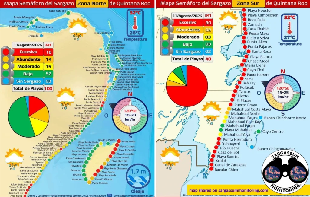 2-maps-red-monitoreo-sargazo-sargassum-monitoring-riviera-maya-11-08-2026