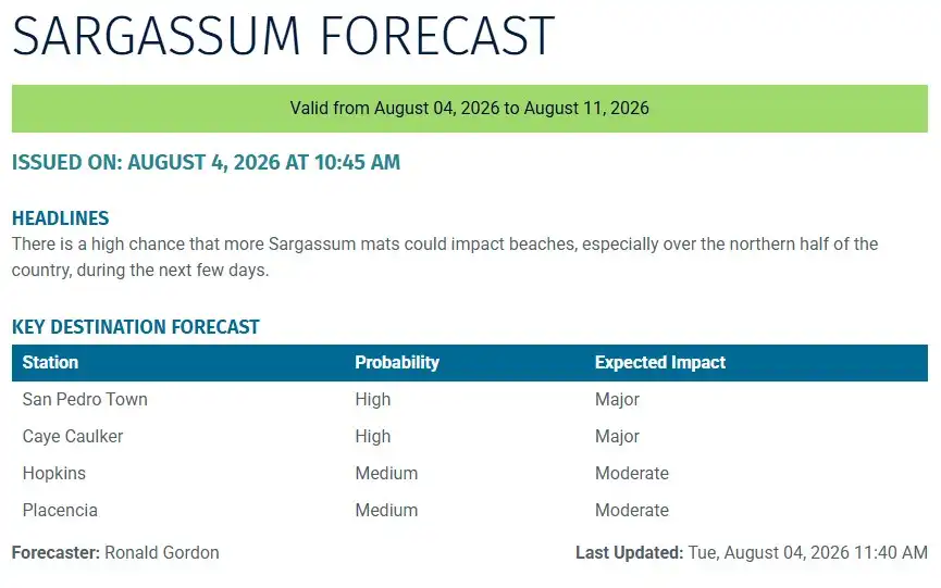 Belize-sargassum-forecast-sargasse-sargazo-sargassum monitoring-05-08-2026