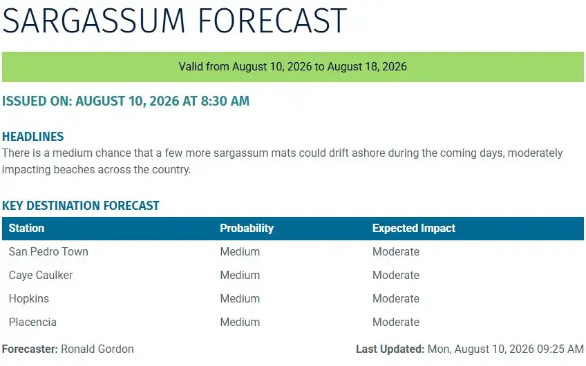 Belize-sargassum-forecast-sargasse-sargazo-sargassum monitoring-11-08-2026