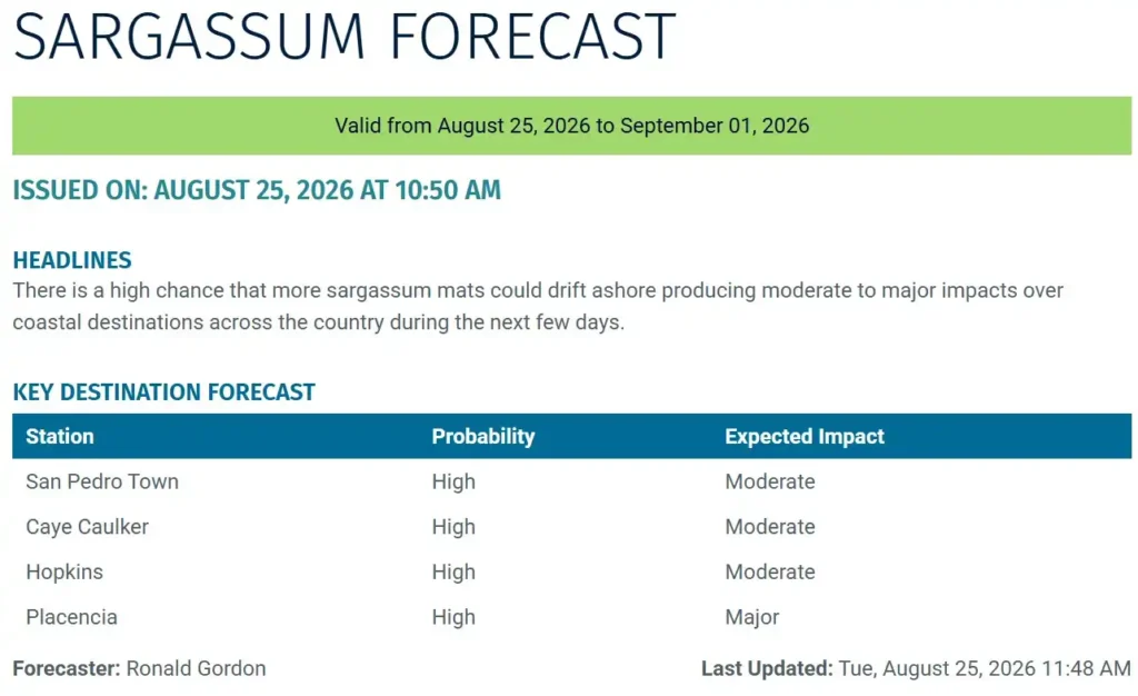 Belize-sargassum-forecast-sargasse-sargazo-sargassum monitoring-25-08-2026
