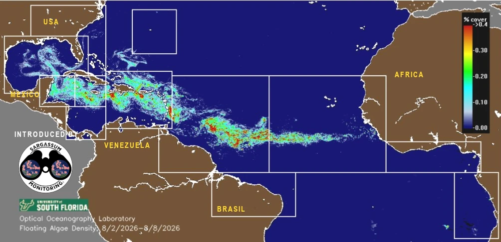 USF-Saws-forecast-sargassum-monitoring-map-09-aug-26