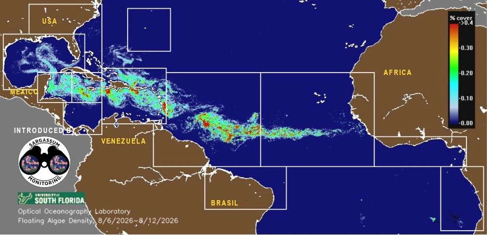 USF-Saws-forecast-sargassum-monitoring-map-13-aug-26