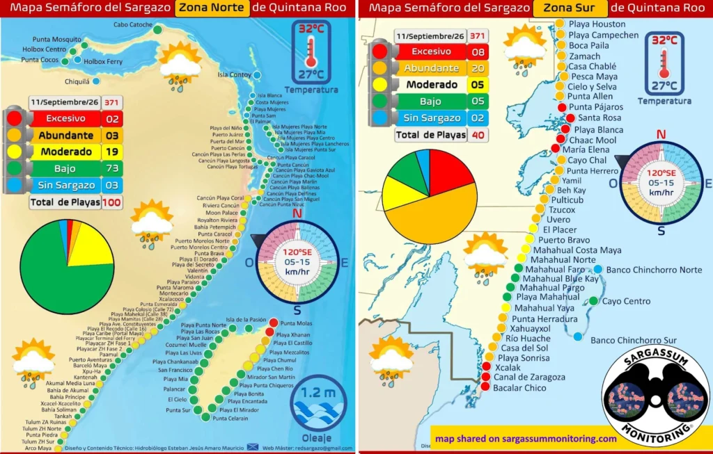 2-maps-red-monitoreo-sargazo-sargassum-monitoring-riviera-maya-11-09-2026