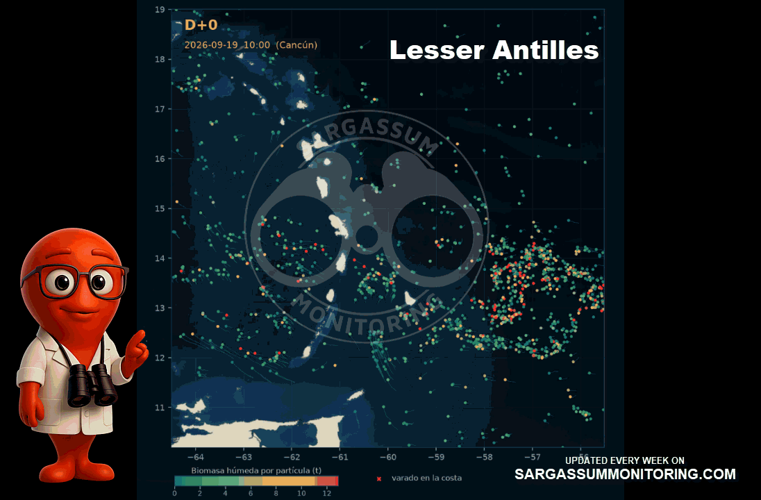 Lesser Antilles-sargassum-forecast-sargazo-pronosticos