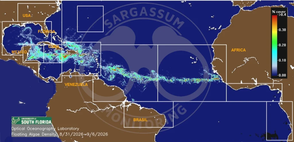 USF-Saws-forecast-sargassum-monitoring-map-07-sep-26