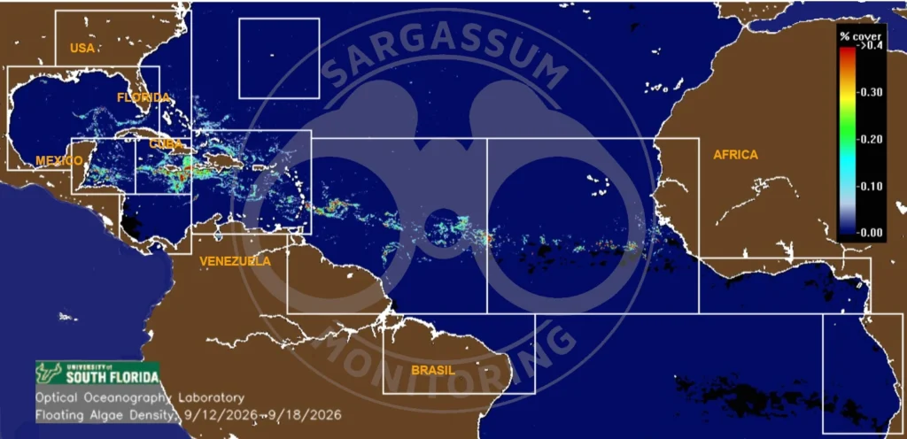 USF-Saws-forecast-sargassum-monitoring-map-19-sep-26