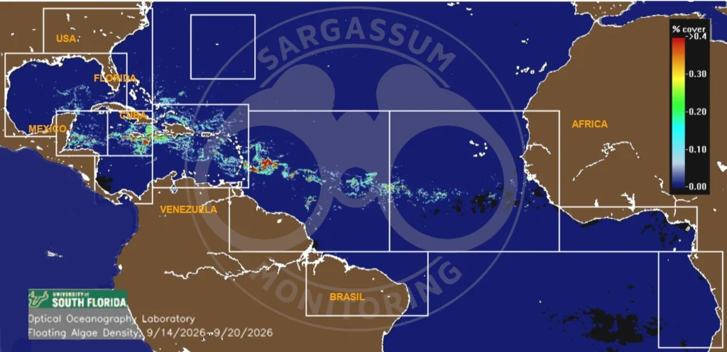 USF-Saws-forecast-sargassum-monitoring-map-21-sep-26