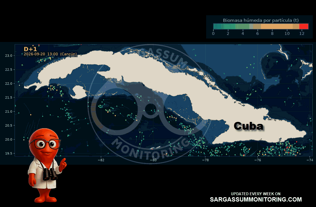cuba-sargassum-forecast-sargazo-pronosticos